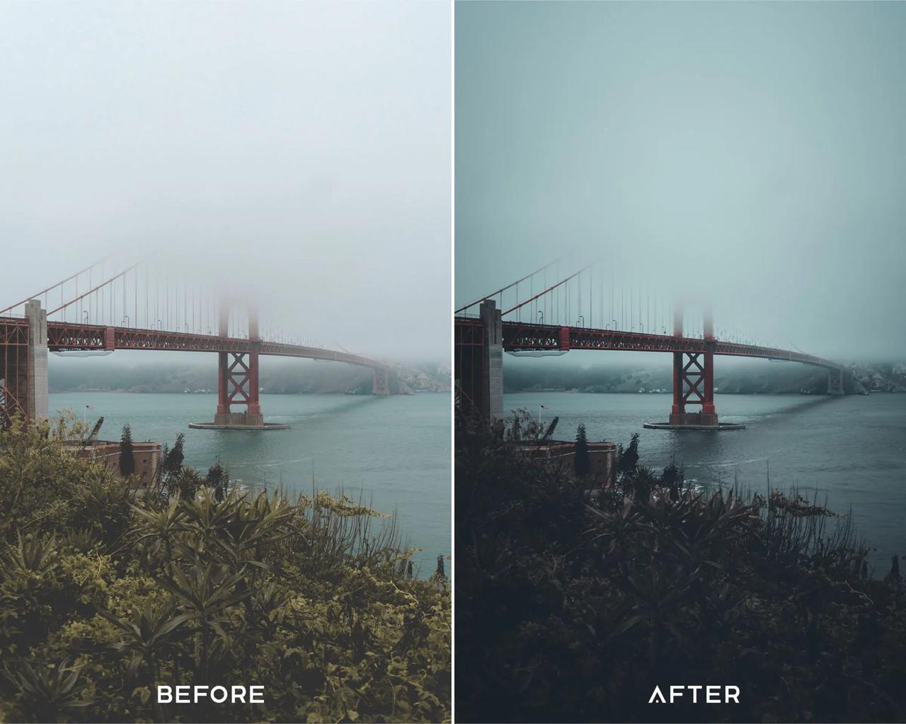 Presets Bundle (LUTs & Filters)