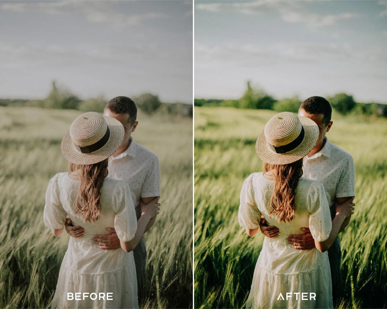 Presets Bundle (LUTs & Filters)