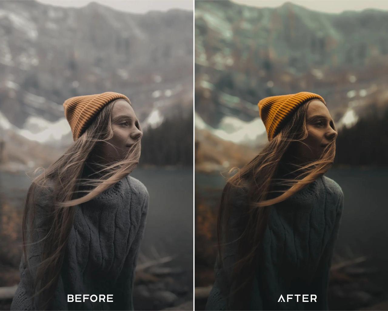 Presets Bundle (LUTs & Filters)